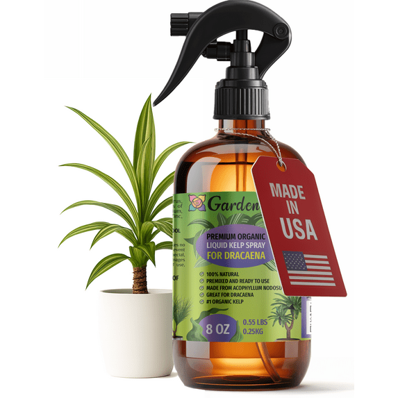 ⭐ GARDENERA Professional Organic Liquid Kelp Spray for DRACAENA Plants - 8 oz - Ready-To-Use Fully Organic Seaweed & Kelp Fertilizer Mist