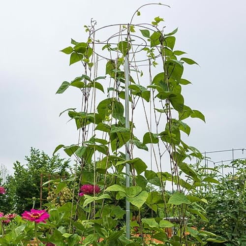GARDENS ALIVE - Bean Support Growing Trellis Metal Tower, 6 feet Tall$$Garden & Patio