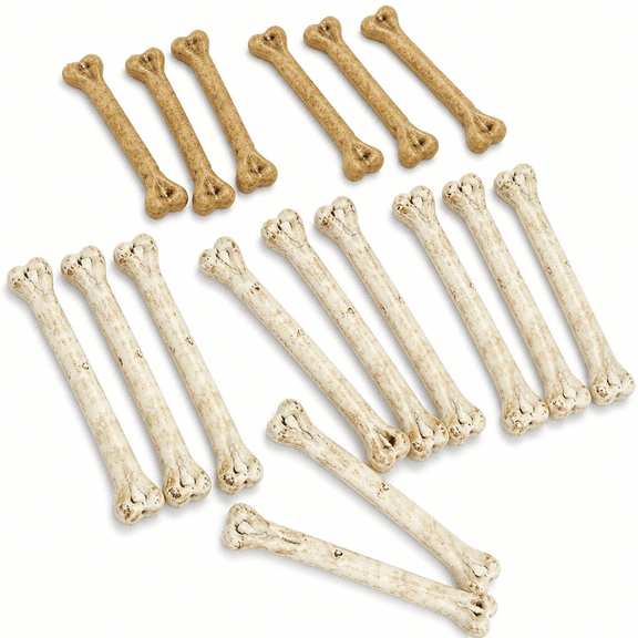 GARDVORA 20 Pcs Toy Plastic Human Bone Fake Bone for Halloween Halloween Props Fake Skeleton Bone Plastic Bones Model Fake Bone