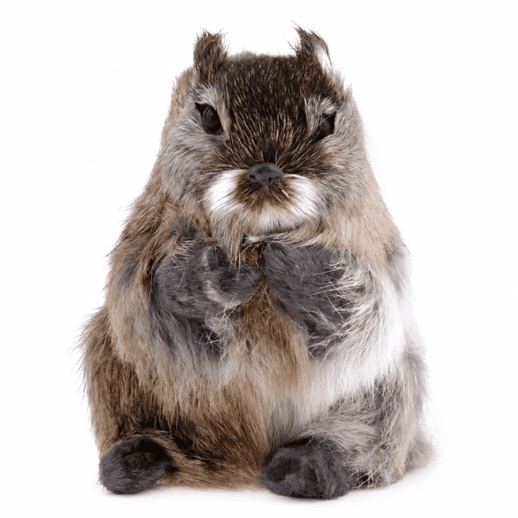 GARDVORA Artificial Realistic Squirrel Figure Outdoor Garden and Home Decoration Toy for Kids