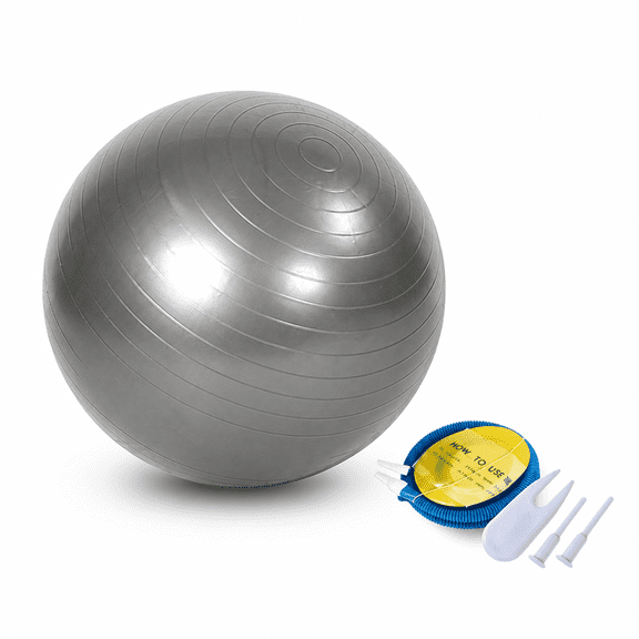 GARDVORA Exercise Ball Small Pilates Ball Exercise Balls Physical Therapy at Home Gym and Office Pregnancy Quick Pump Included Silver Grey