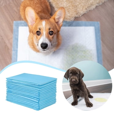 VALUE PAD 36x36 Dog Puppy Training Pads – Heavy Duty Wee Wee Pads (192 Count)