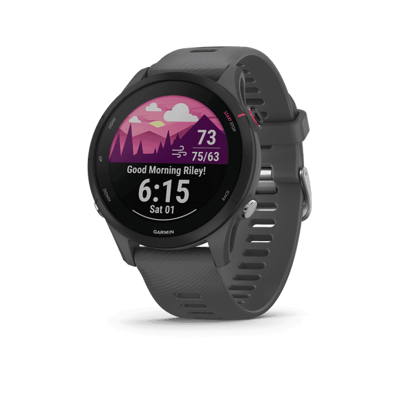 Forerunner 255 (GPS) 33 mm Slate Gray with Slate Gray Sport Band (No Manufacturer Warranty)