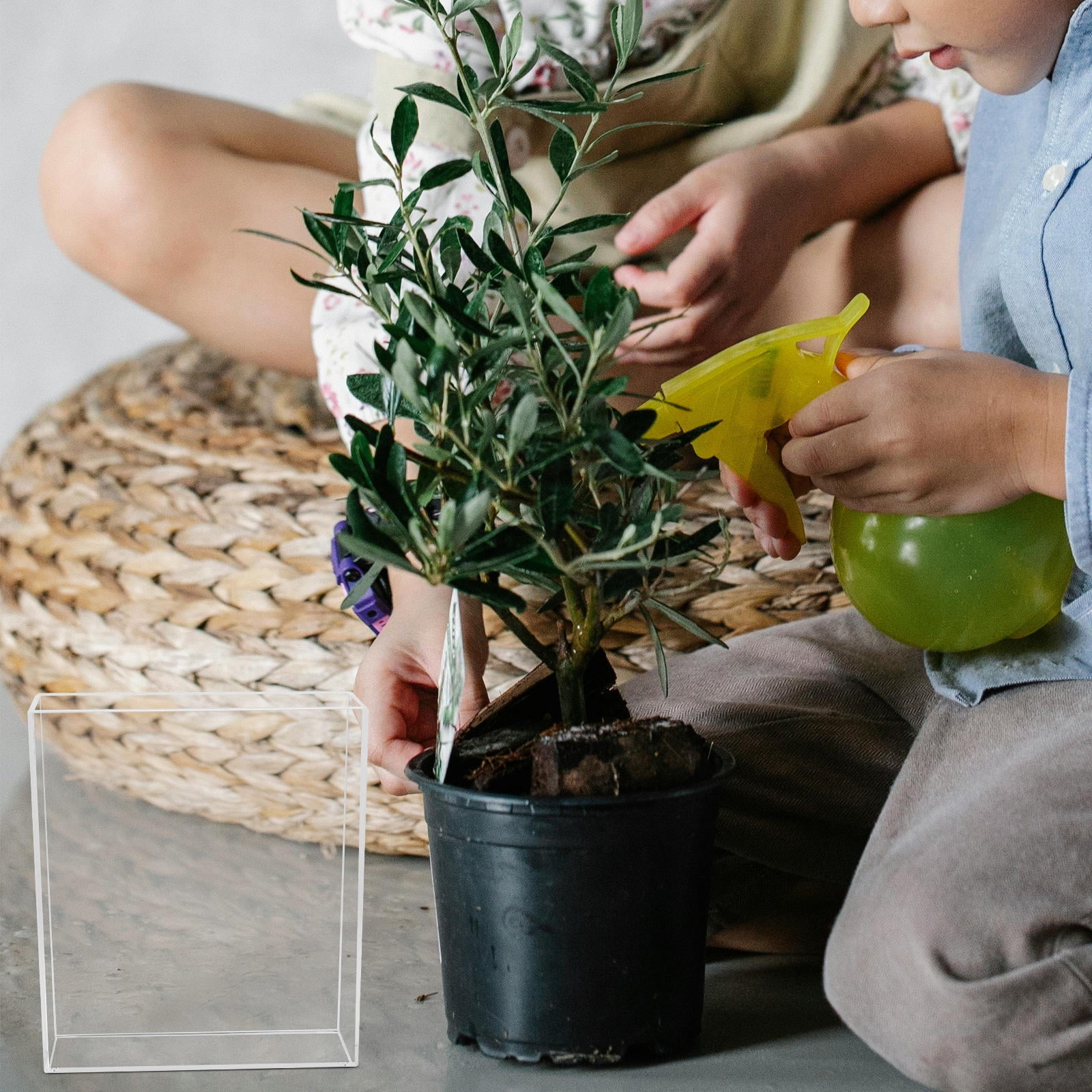 GARVALON 1Set Layering Propagation Root Observation Box for Kids Home ...