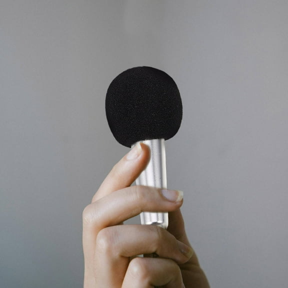 GARVALON 1Set Tiny Microphone for Singing and Recording with Modern Style