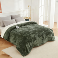 thumbnail image 1 of GARVEE Electric Heated Blanket King Size 100"x90" Velvet Soft Dual Controls Fast Heating Blankets,Over-Heat Protection,Green, 1 of 10
