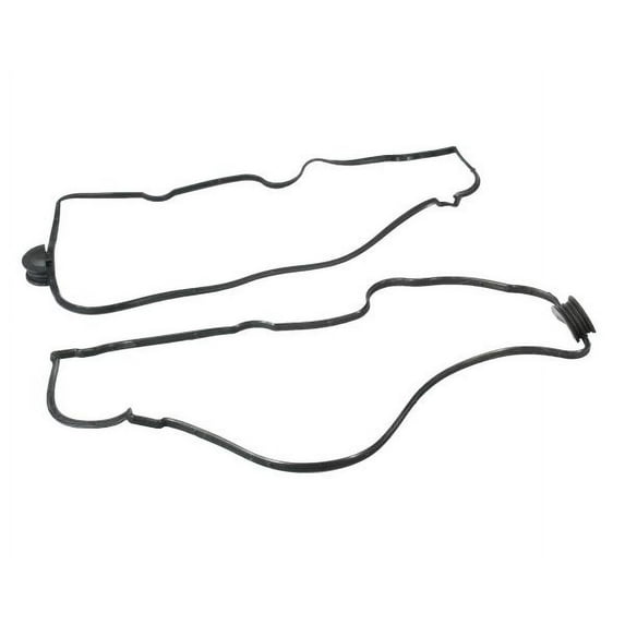 GASKETVLV RKR A (SLP-P1)