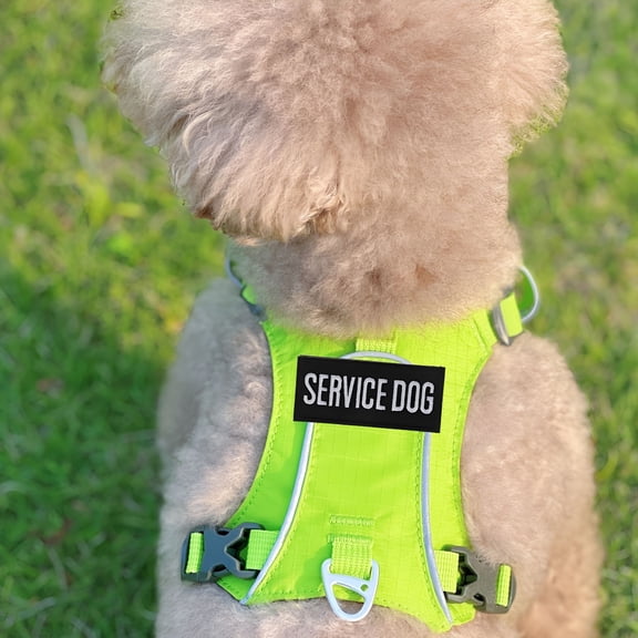 GASTROPOD 2 Pcs Dog Halters for Small Dogs Custom Embroidered Patch Black