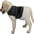 thumbnail image 1 of GASTROPOD 2026 New Adjustable Jacket for Small Medium Large Dogs, Dog Vest Wrap for Calming, for Separation, Thunderstorm, Travel, 1 of 6