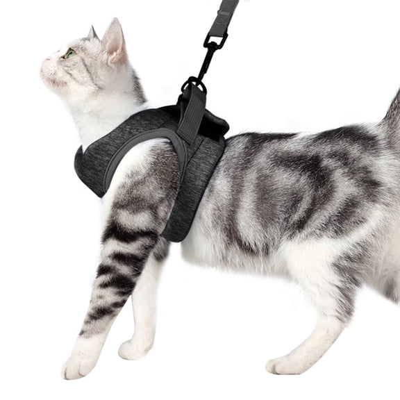 GASTROPOD 2026 New Cat Harness Breathable Cat Harness and Leash Long Lasting Performance Kitten Harness for Walks Outdoor Adventures Training Safe Exploration Everyday Use.
