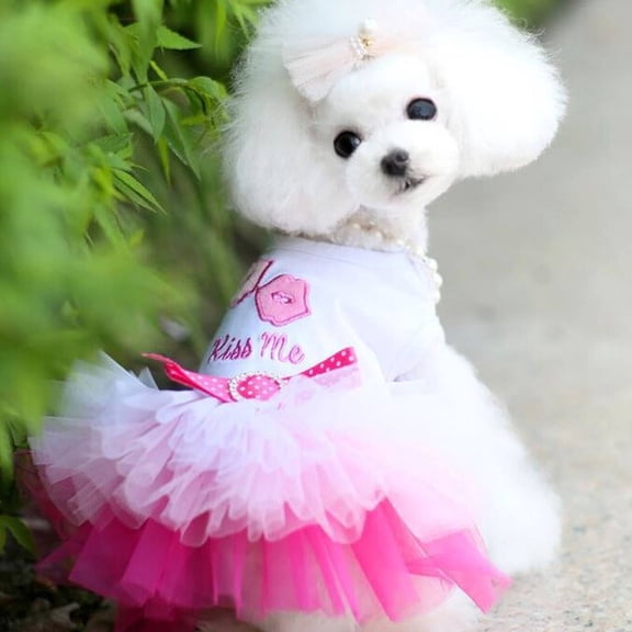 GASTROPOD 2026 New Dog Costume Adorable Heart Design for A Trendy Look Cat Costume Versatile for Special Days and Everyday Use Puppy Clothes for Party Photo Holiday Celebration Xxl