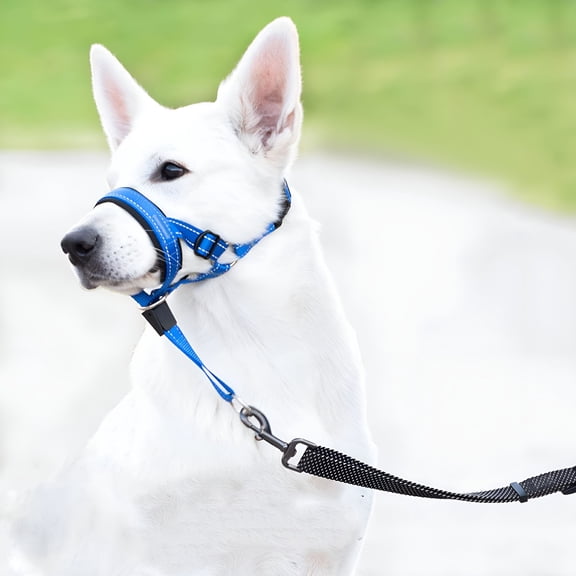 GASTROPOD 2026 New Dog Head Collar, No Pull Dog Halter with Soft Padding, Reflective Training Tool for Medium Large Dogs, Labrador, Stops Heavy Pulling and Easy Control on Walks
