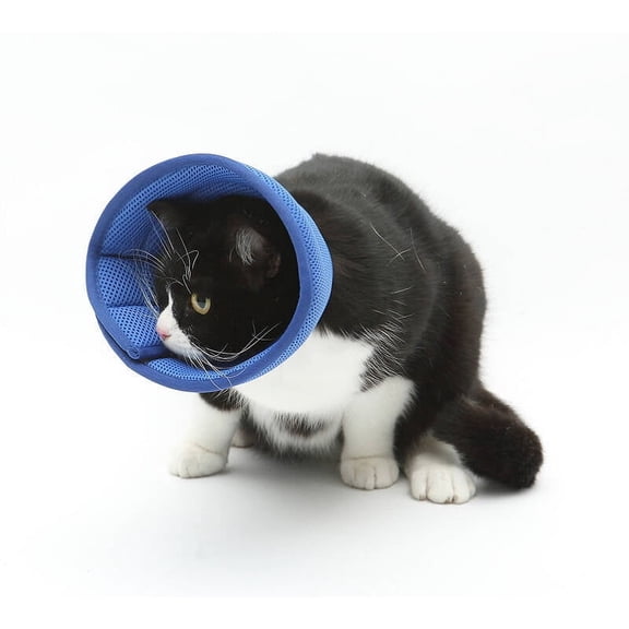 GASTROPOD 2026 New Soft Cone for Dogs,Breathable Dog Cone Collar,Cat Cone Collar,Adjustable Dog Donut Collar,Elizabeth Circle Guard Collar Ring for Surgery,Dog Recovery Cone Collar