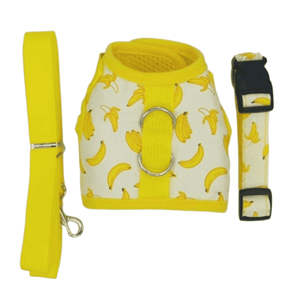 GASTROPOD 3Pcs Cat Harness Polyester Material Adjustable Leash Reflective Small Cats Cat Harness and Leash 150cm,Yellow,Style5