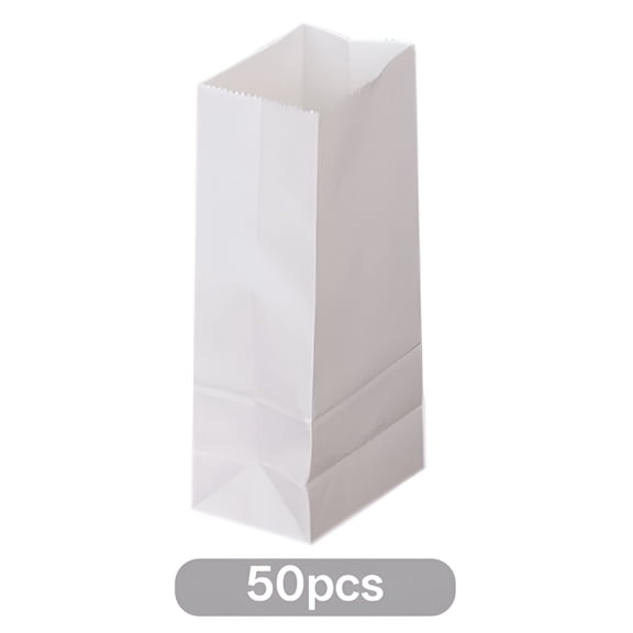 GASTROPOD 50 Count Blank White Paper Bags - for Arts & Crafts Projects,Lunch & Snacks Packing Bags,White Lunch Bags Paper