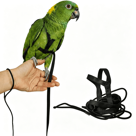 GASTROPOD Adjustable Bird Harness and Leash for Parrots Outdoor Flight Training Anti-Bite Light Weight Easy-To-Wear Bird Vest with 59"Elastic Leash for Quaker Conure African Grey Macaw Cockatoo (L)