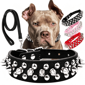 GASTROPOD Anti-Bite Spiked Studded Dog Collar and Leash Set 4Ft:Adjustable Pu Leather Dog Collars for Small Dogs&Cats, Heavy Duty, Metal ,Neck Protection,Punk Style, Black, S (10.5"-12.8")