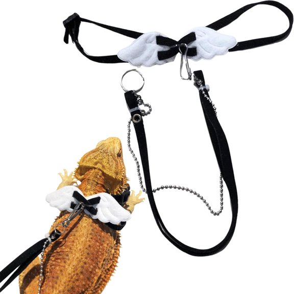 GASTROPOD Bearded Dragon Harness and Leash, Adjustable Reptile Training Lead Harness with Angel-Wings for Lizard, Gecko (Angel-Wings Design Adjustable Lead Bearded Dragon Harness Black)