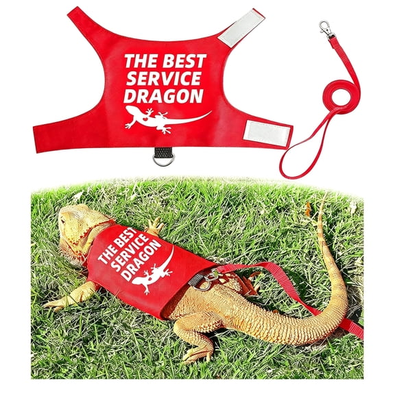 GASTROPOD Bearded Dragon Harness and Leash Set,Escape Proof Adjustable Lizard Reptile Vest Clothes with 5.5 Ft Leash for Outdoor Walking,Best Service Dragon Design