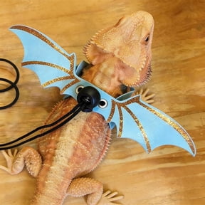 GASTROPOD Bearded Dragon Reptile Harness and Leash Set, 3 Adjustable Sizes Dragon Wing Design for Lizard, Geckos and Small Reptiles, Premium Material for Outdoor Walking and Photo Props