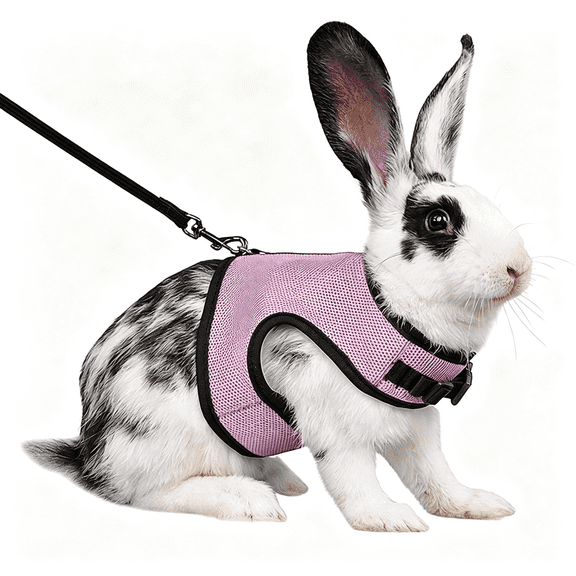 GASTROPOD Bunny Leash&Harness Set Escape Proof,Breathable Mesh Adjustable Rabbit Harness&Leash Set Lightweight Pet Harness for Small Animals Ferret Kitten Puppy Gu"Ea Pig Walktra",P"K M