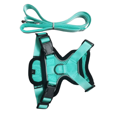 GASTROPOD Cat Harness Adjustable Anti-Escape Vest Reflective Design Adjustable Length Quick-Release Buckle Cat Harness and Leash 11.0-13.7inx18.0-20.0inx150cm,Green