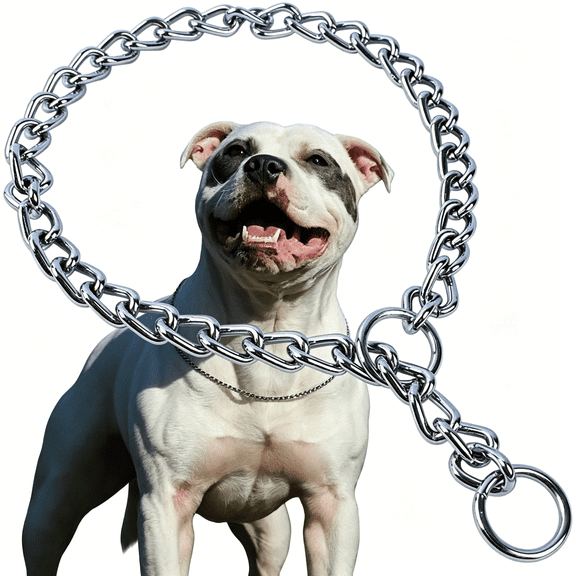 GASTROPOD Chain Dog Choker Collar,Metal Slip Link Training Choke Dog Collar Heavy Duty Puppy Collars for Small Medium Large Big Xl Breed Dogs,Silver M
