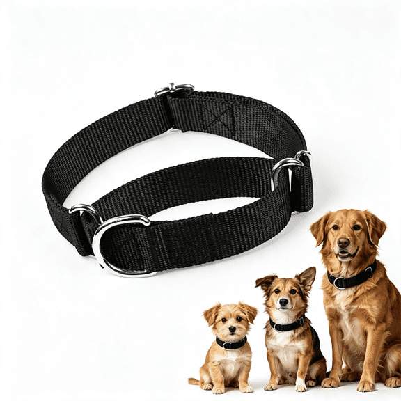 GASTROPOD Choker Collar for Dogs Black No Pull Martingale Dog Collar Escape Proof Cinch Dog Training Collars Adjustable for Small Medium Large Breed Pet Dogs