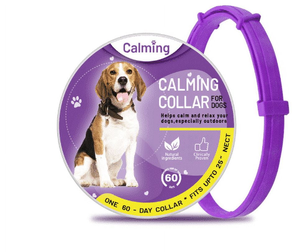 Do Calming Collars Work for Cats? Benefits, Side Effects & FAQ - Relaxation Collar For Anxious Felines