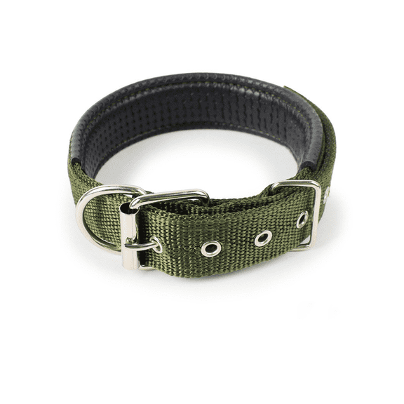 GASTROPOD Dog Collar,Cozy Padded Puppy Collars,Perfect Fit Collar for Dogs,Airy Breathable Nylon Dog Collar,High-Strength Ecollars for Dog Training