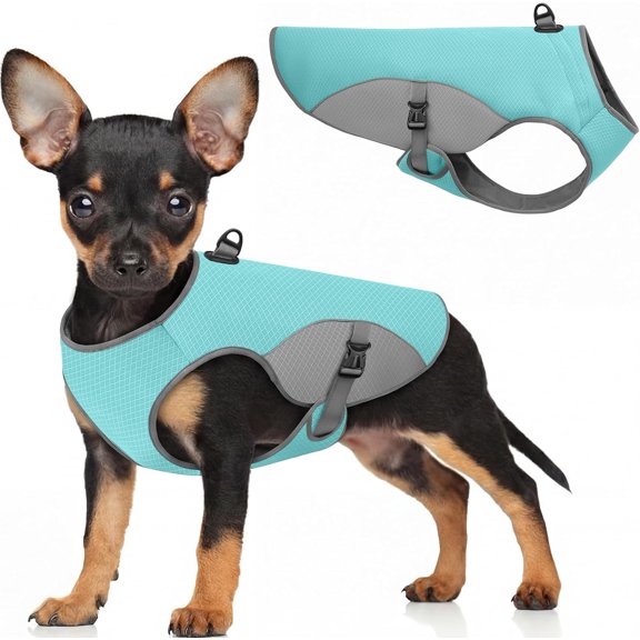 GASTROPOD Dog Cooling Vest for Small Dogs, Cooling Jacket for Dogs with Mesh and D Ring, Dog Reflective Stripe Jacket for Hot Weather, Blue-S