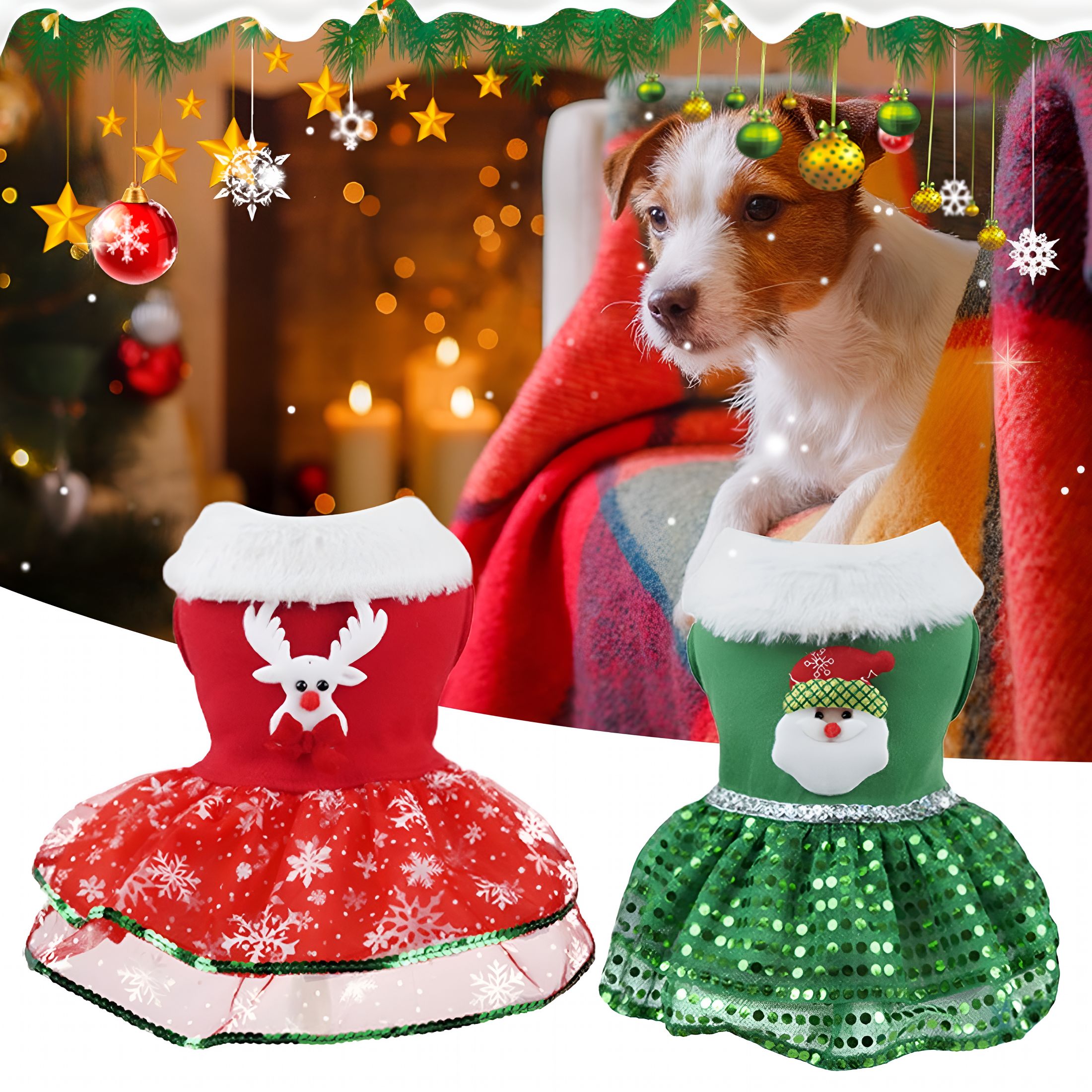 Christmas Dresses Dogs