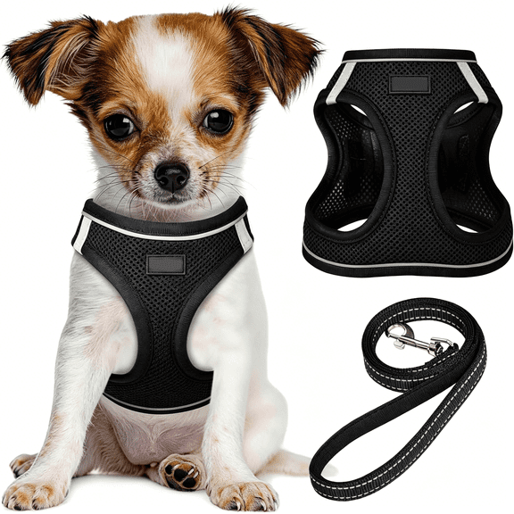 GASTROPOD Dog Harness and Leash Set,No Pull Soft Mesh Pet Harness,Reflective Adjustable Puppy Vest for Small Medium Large Dogs,Cats (Black,X-Small,Pack of 1)