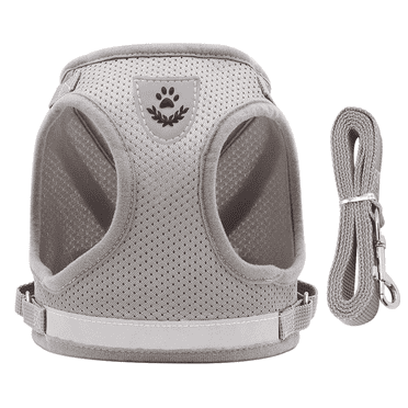 GASTROPOD Dog Harness Pet Vest Adjustable Leash 45-50cm Chest Cat Harness and Leash Breathable Mesh Comfortable Fit Dog Harness Small Sized Dog 120cm,Gray