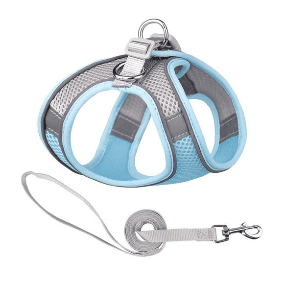 GASTROPOD Dog Harness for Small Dogs Breathable Mesh Dog Harness Small Sized Dog Strong Safety Buckle Adjustable Size Cat Harness and Leash 27-31cm,Blue,Gray