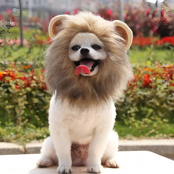 GASTROPOD Dog Lion Mane - Realistic & Funny Lion Mane for Dogs - Complementary Lion Mane for Dog Costumes - Lion Wig for Medium to Large Sized Dogs Lion Mane Wig for Dogs