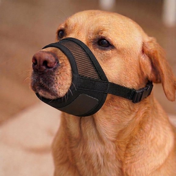 GASTROPOD Dog Muzzle for Large Dogs Adjustable with Air Mesh Muzzle for Large Sized Dog | Mussels for Dogs Grooming | Muzzles to Prevent Biting Barking Chewing | Allows Panting and Drinking