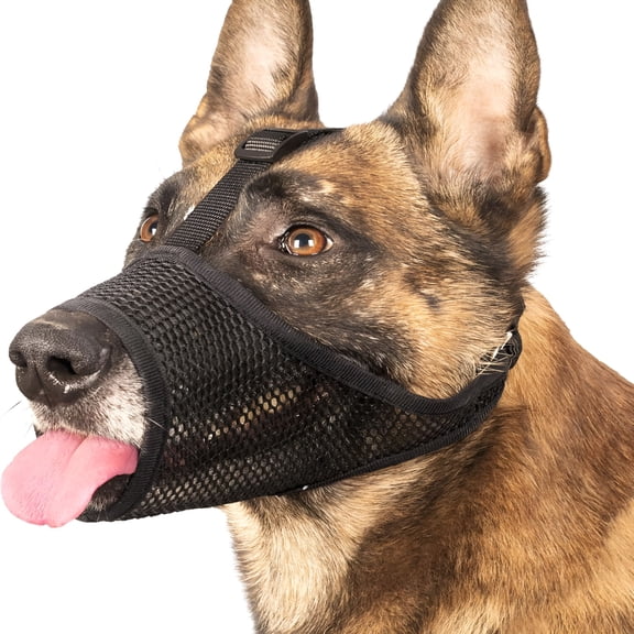 GASTROPOD Dog Muzzle,Mesh Muzzle for Large Medium Small Dogs,Soft Mouth Cover to Prevent Biting Chewing with Adjustable Head Strap,Allows Panting and Drinking,Perfect for Vet Visit(Black,L)