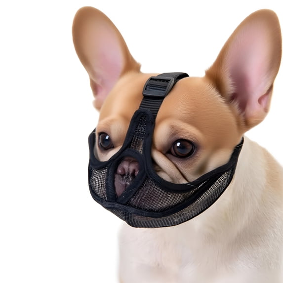 GASTROPOD Dog Muzzle, Soft Mesh Muzzles for Small Medium Dogs Shih Tzu Pug English Bulldog, Breathable Dog Mouth Guard for Biting Chewing Grooming, Allow Panting