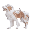 thumbnail image 1 of GASTROPOD Dog Raincoat,Keep Your Dog Dry with Waterproof Protection Dog Rain Jacket,Tailored Fit for Small Dogs with Slim Chests Pet Raincoat,XS, 1 of 4