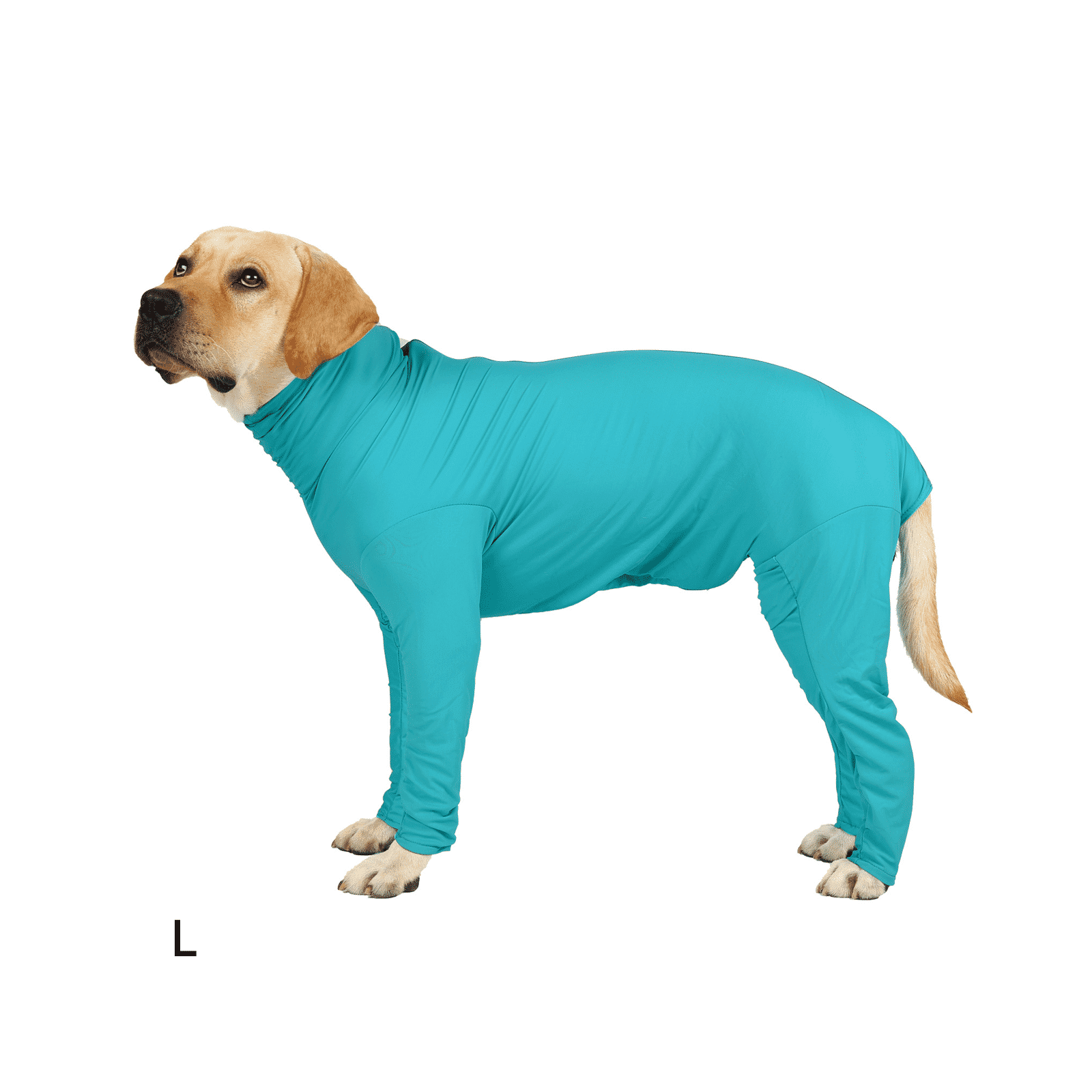 GASTROPOD Dog Recovery Suit,Head-to-Tail Safety Dog Costume,Breathable ...