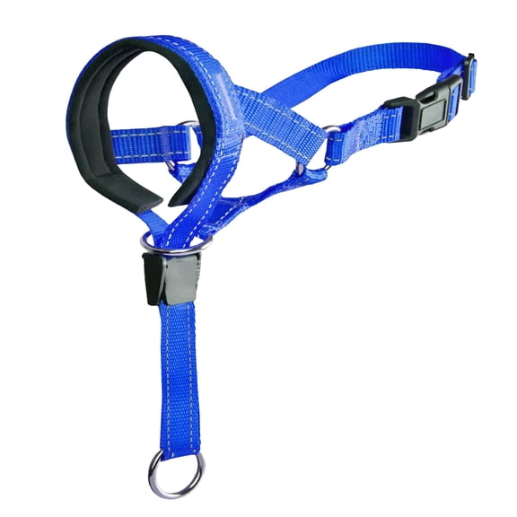 GASTROPOD Gentle Leader for Dogs Dog Head No Pull Head with Soft Padding for Leash and Harness Training Heavy Leash Pulling for Easy Walking Blue