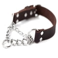 thumbnail image 1 of GASTROPOD Leather Dog Training Collar, Martingale Dog Collar with Stainless Steel Chain, Gentle Paws Calming Collars, Medium, 1 of 9