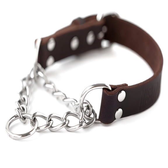 GASTROPOD Leather Dog Training Collar, Martingale Dog Collar with Stainless Steel Chain, Gentle Paws Calming Collars, Medium