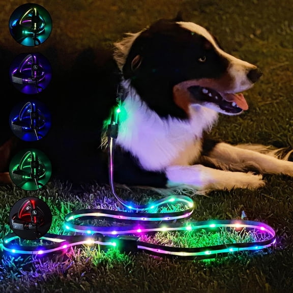 GASTROPOD Led Dog Leash | 6 Ft | Usb Rechargeable | 12 Multi-Color Animated Effects | Ultra-Bright Leds Light-Up Leash Keeps You & Dog Safe - by Multi-Color Ultra-Bright Light Up Dog Leash