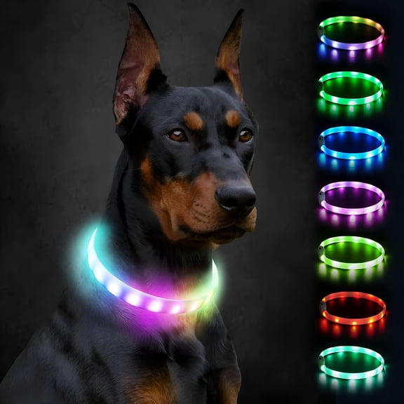 GASTROPOD Light Up Dog Collar,Rainproof and Rechargeable Led,9 Flashing Modes,Glow for Night Walking,Cuttable Soft Silicone Collar for Large Medium Small Dogs,27.5 Inch