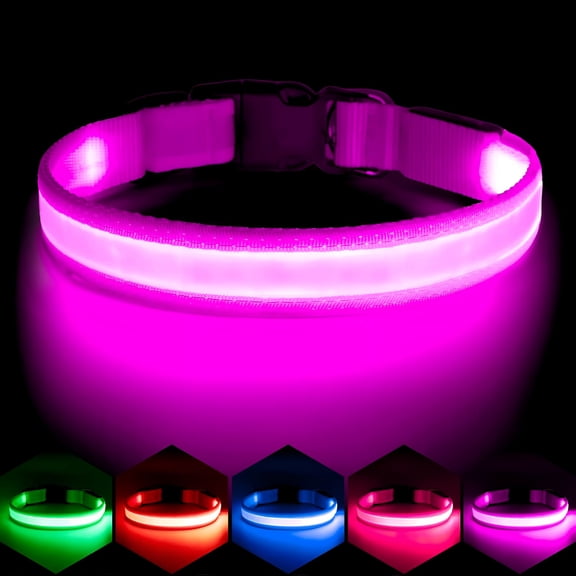 GASTROPOD Light Up Dog Collar Adjustable Usb Rechargeable Super Bright Safety Light Glowing Collars for Dogs(Purple,Large [18.89-23.62 Inch/48-60Cm])