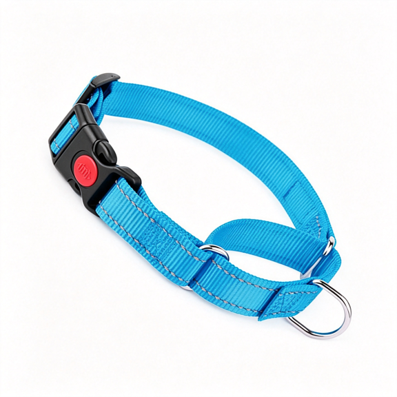 GASTROPOD Martingale Collar for Dogs with Quick Release Buckle,Reflective Choke Collar for Dogs Escape Proof No Slip Training Martingale Dog Collars for Medium Large Pets (Sky Blue,M)