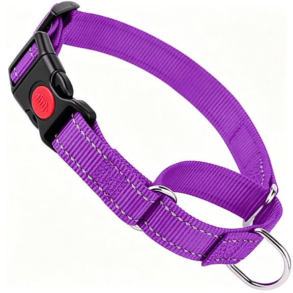 GASTROPOD Martingale Collar for Dogs with Quick Release Buckle,Reflective Choke Collar for Dogs Escape Proof No Slip Training Martingale Dog Collars for Medium Large Pets(Purple,M)