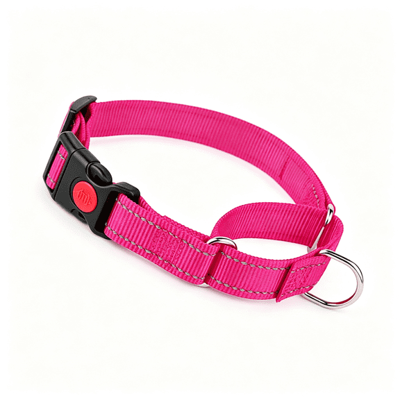 GASTROPOD Martingale Collar for Dogs with Quick Release Buckle, Reflective Choke Collar for Dogs Escape Proof No Slip Training Martingale Dog Collars for Medium Large Pets (Hot Pink, M)